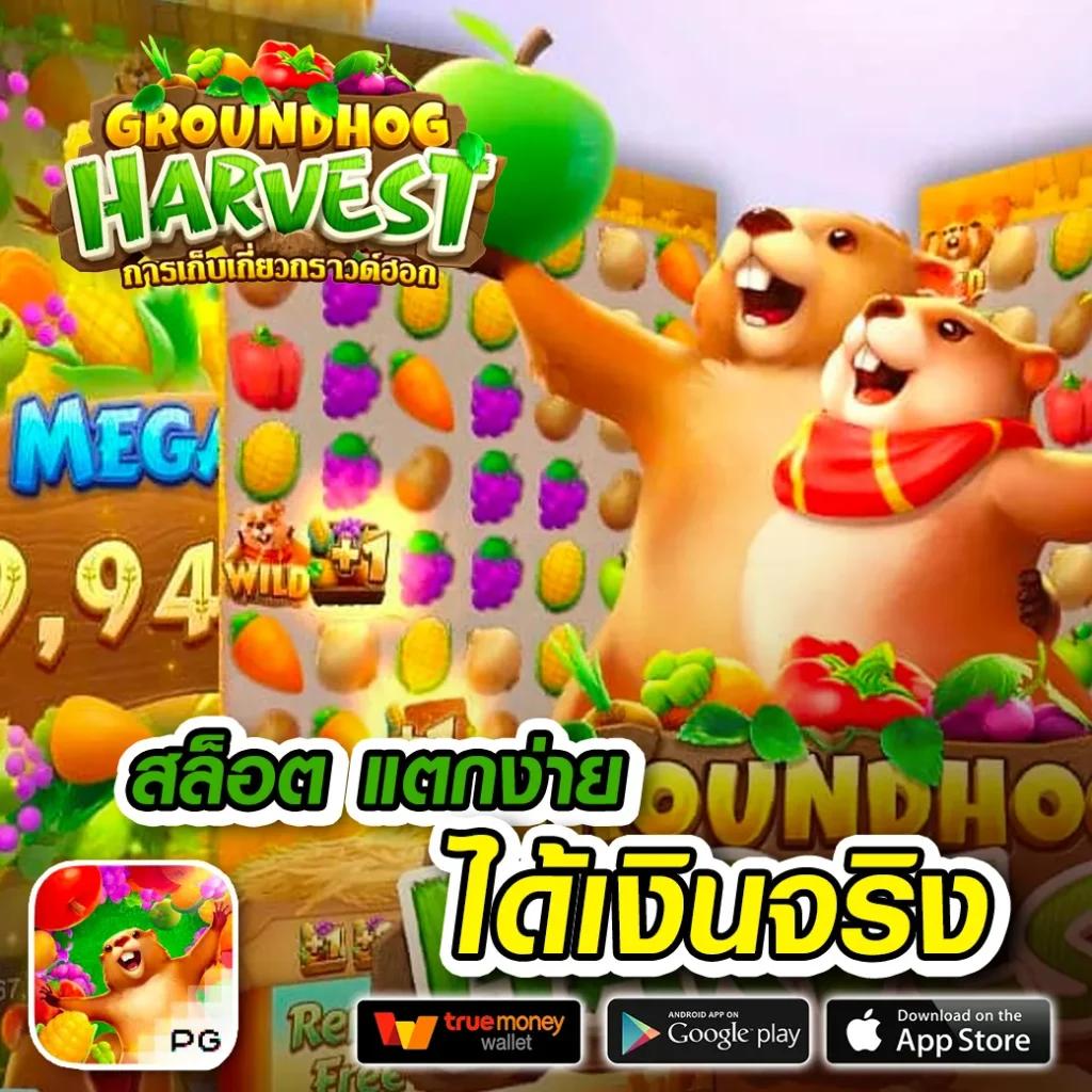 799 สล็อต เว็บพนันออนไลน์อันดับหนึ่งสำหรับความสนุกและโบนัสสุดคุ้ม